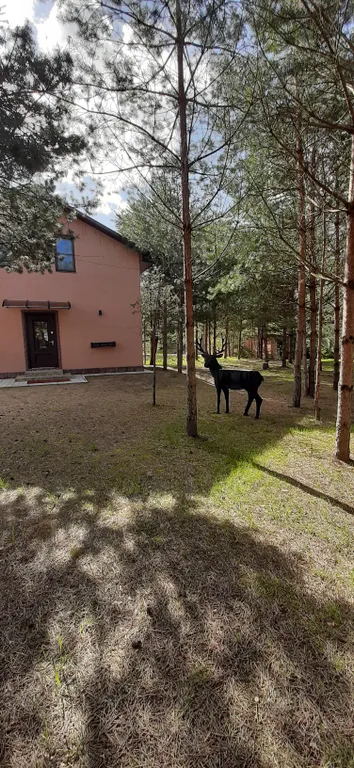 Большой загородный дом