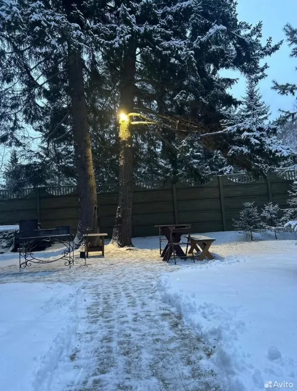 Коттедж в деревнем хвойном лесу