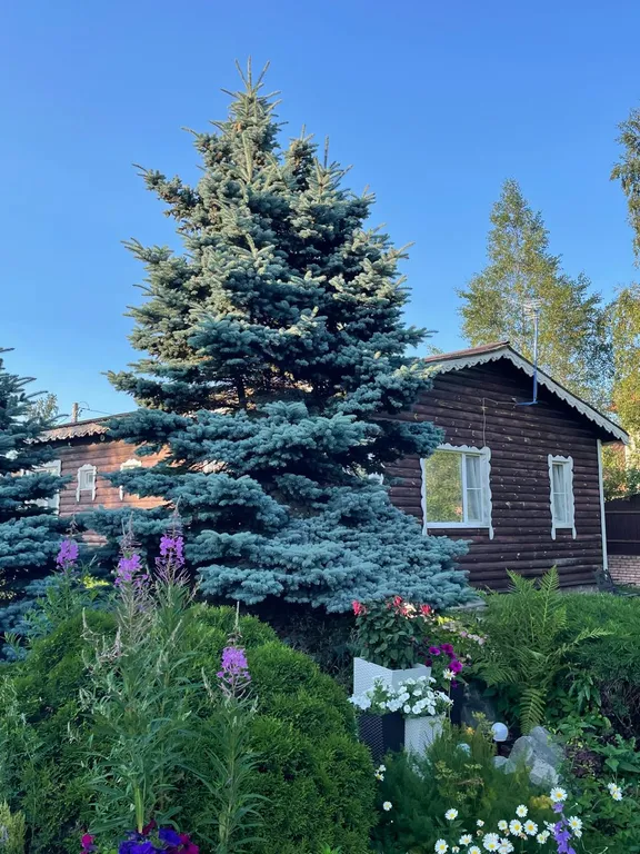 Коттедж Дача на берегу Ладожского озера — Коккорево