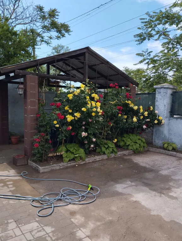 Квартира на берегу моря