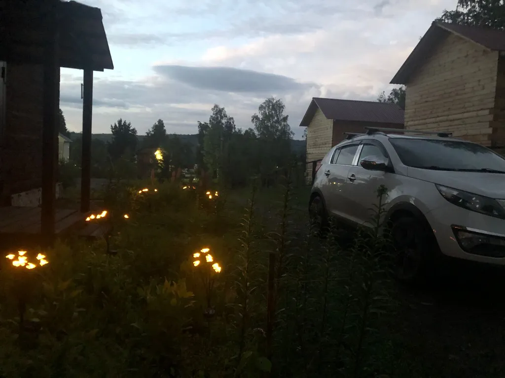 Комната с видом на березовый лес