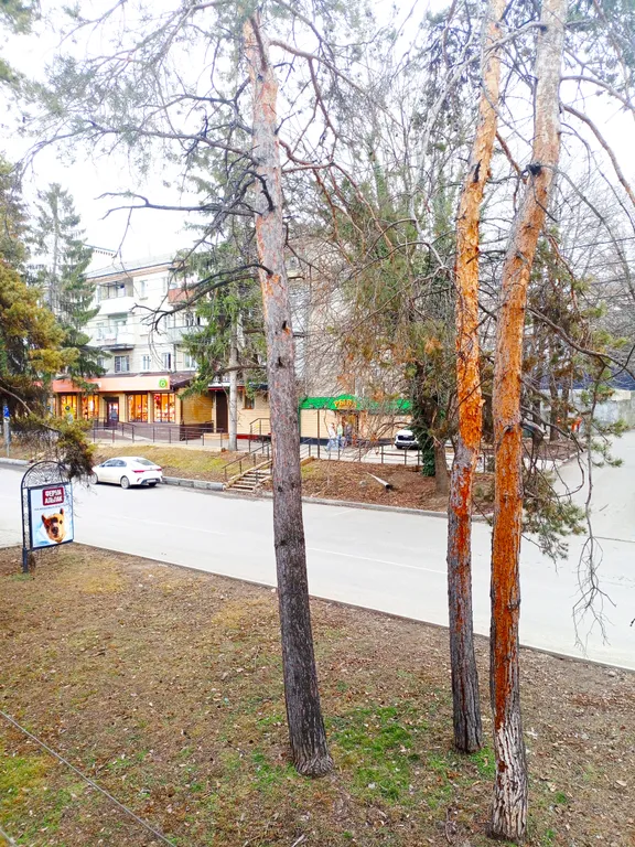 Уютная квартира в курортном районе