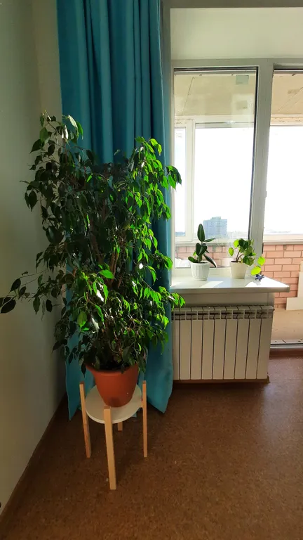 Квартира Уютная квартира в центре города — Ярославль