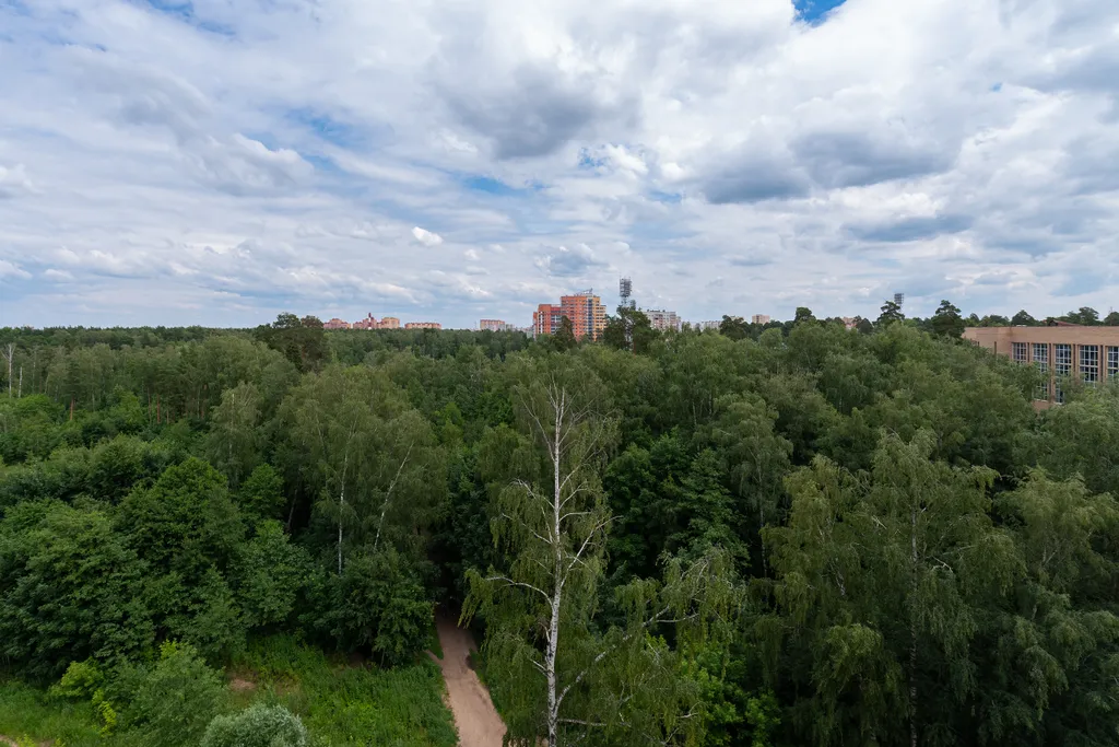 Апартаменты с шикарным видом