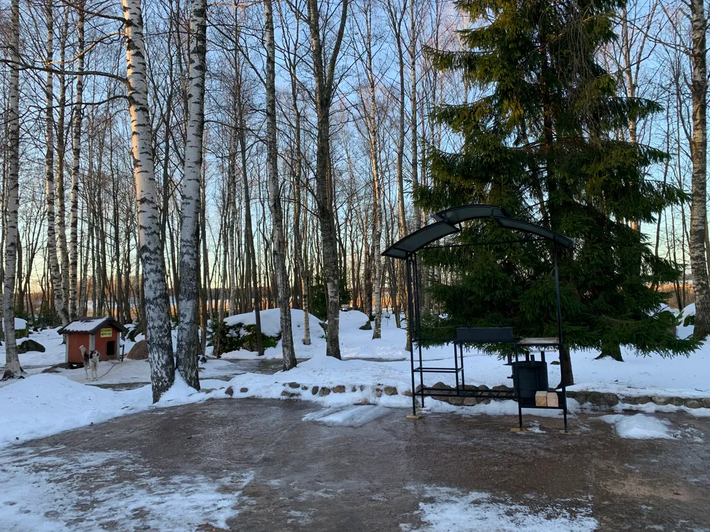 Дом с горячей купелью рядом с Выборгом