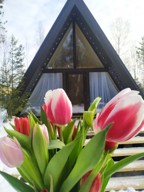 Коттедж Дом у леса для душевного отдыха — Александров