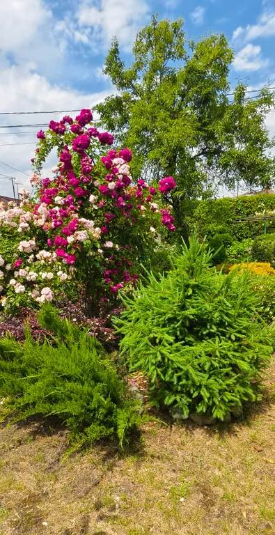 Гостевой дом Anna