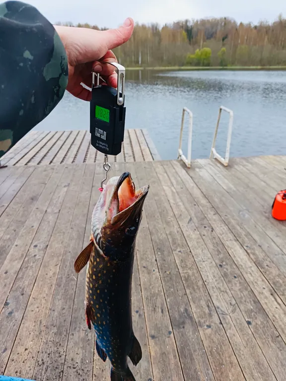 Рай на Щеберихе