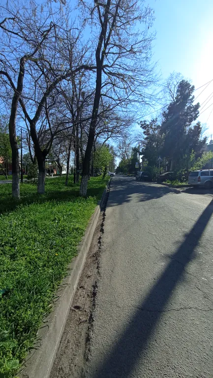 Дом вдоль аллеи