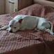 Геннадий