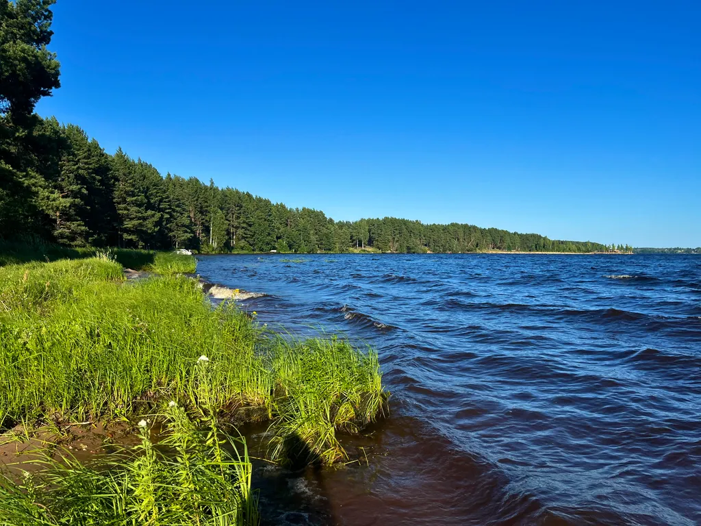 Коттедж Дизайнерский коттедж на берегу озера Волго на Селигере — Турбаза Чайка