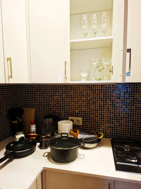 Просторная трехкомнатная квартира в центре Тбилиси с видом на рекуКуру