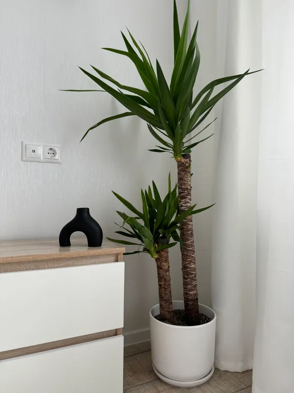 Уютная квартира с панорамным видом