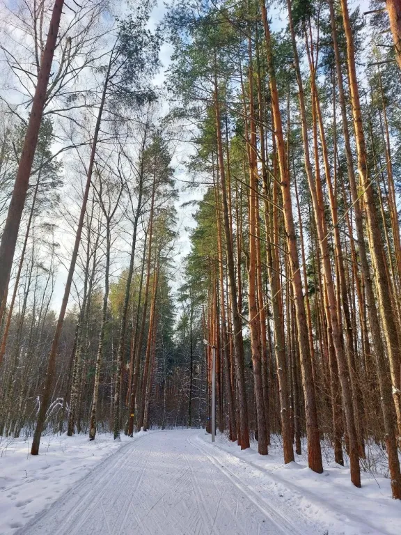 Дом в стиле барнхаус