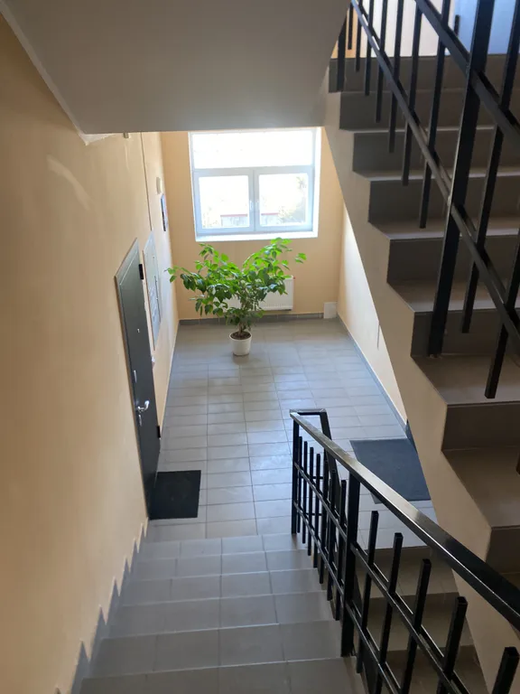 Уютные апартаменты с видом на звезды