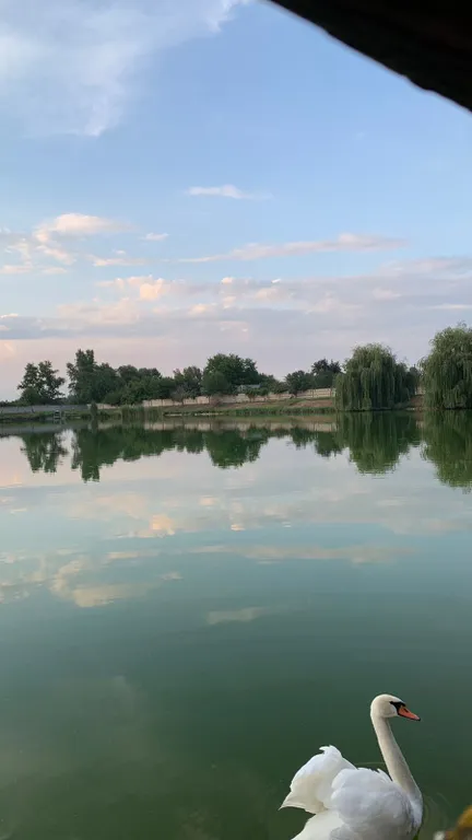 Загородный дом с бассейном