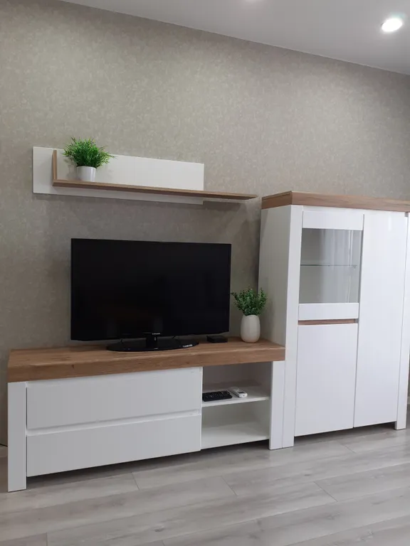 Квартира в центре Гомеля с кондиционером