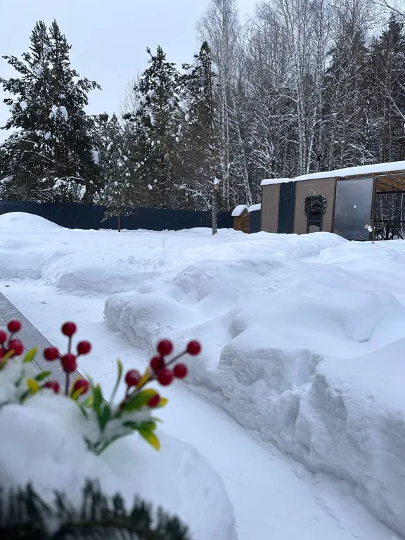 Домик с баней в лесу