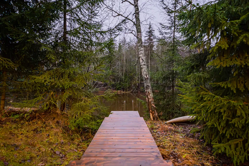 Коттедж Дом у озера — Кузьмоловский