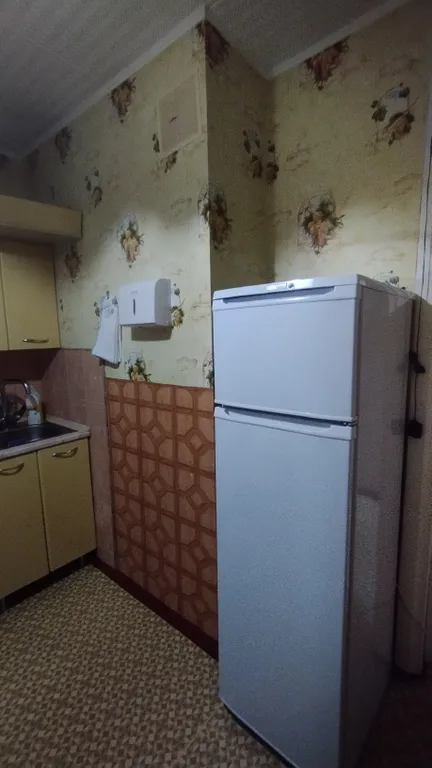 Просторная квартира в уютном районе