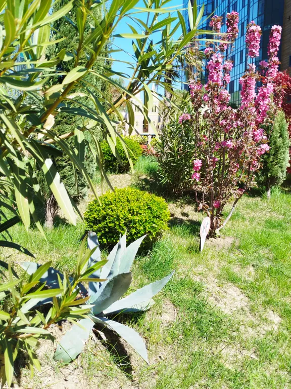 ЖК San Hills, уютная студия на берегу моря