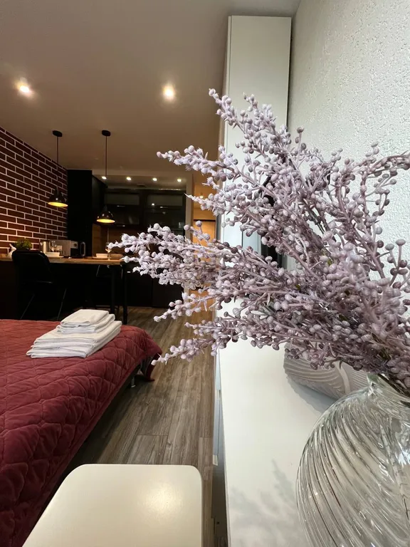 Квартира Апартаменты Red lucky room — Москва