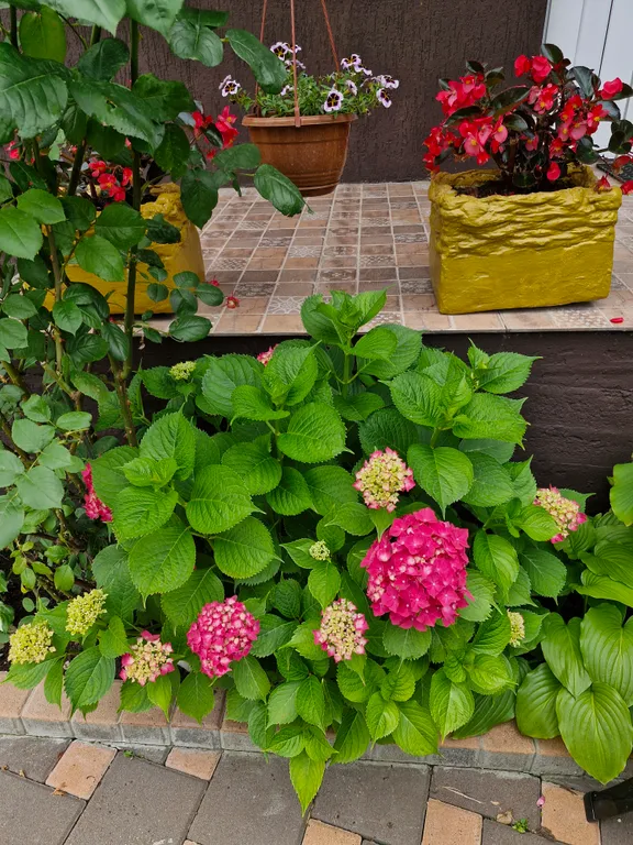 Комфортная комната, с балконом и личным внешним санузлом