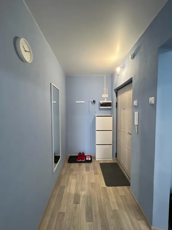 Уютная однокомнатная квартира