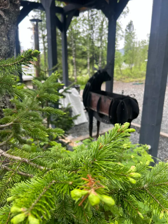 Уютный домик