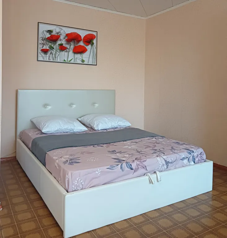 Просторная уютная квартира