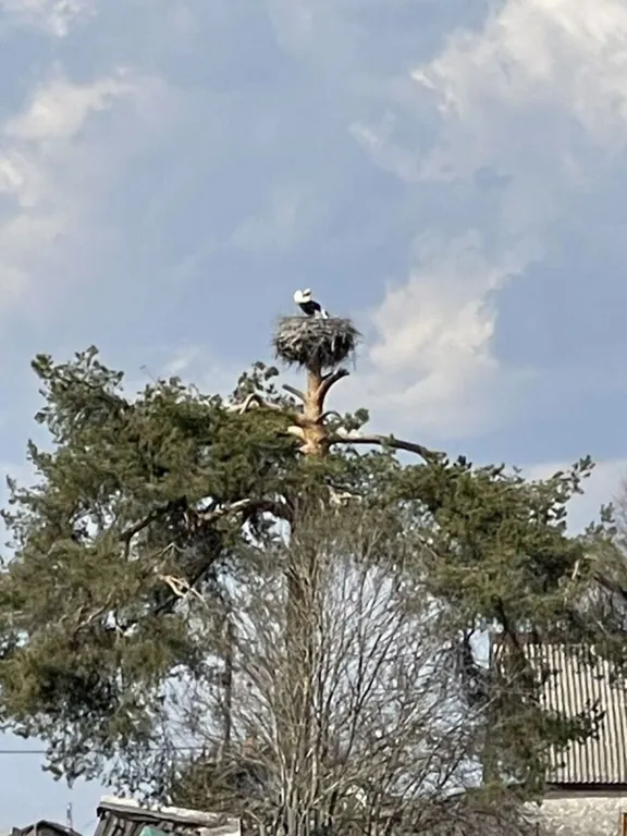 Коттедж 2-комнатный Дом — Шаховская