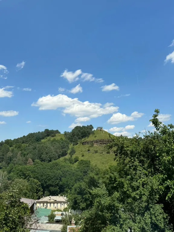 Большая квартира в парке