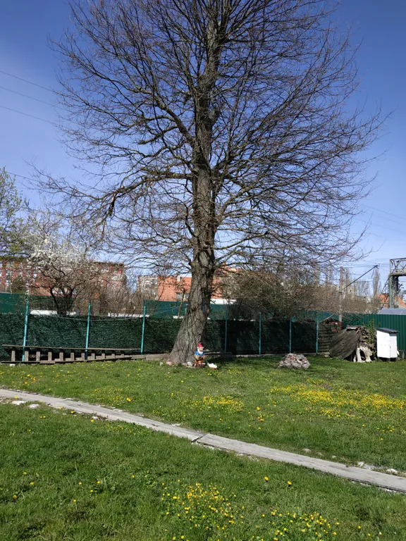 Квартира в домике с парковкой и отдельным входом