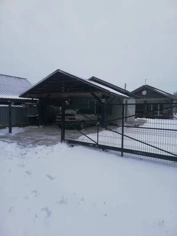 Дом в лесу с баней