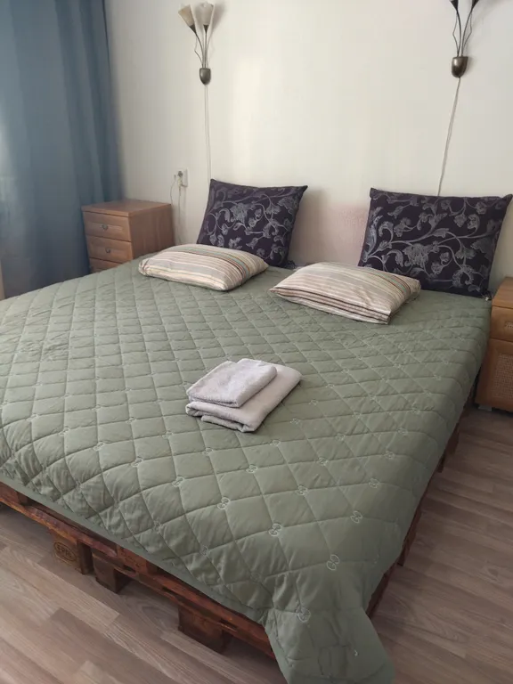 Уютная квартира в центре — аренда посуточно в Челябинск