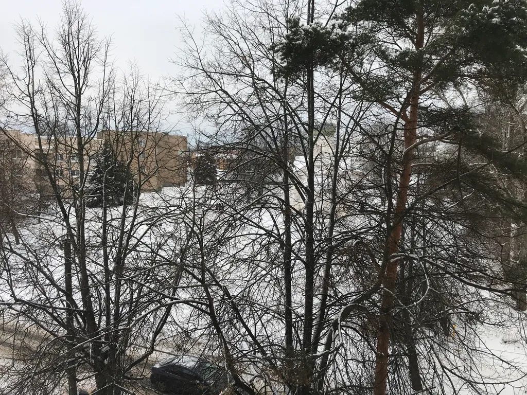 В трёх шагах от Кремля