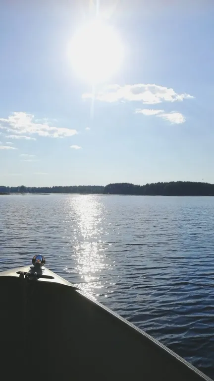 Дом Сом Рыбинка