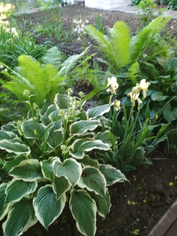 Дом с сауной Вишневый сад