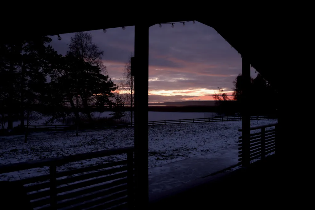 Коттедж Дом в лесу на берегу озера — Плодовое