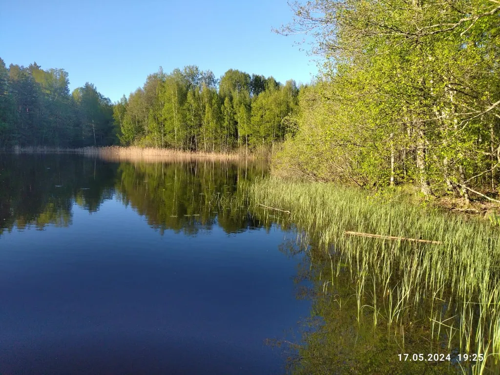 Коттедж Дом среди трех озёр — Луга