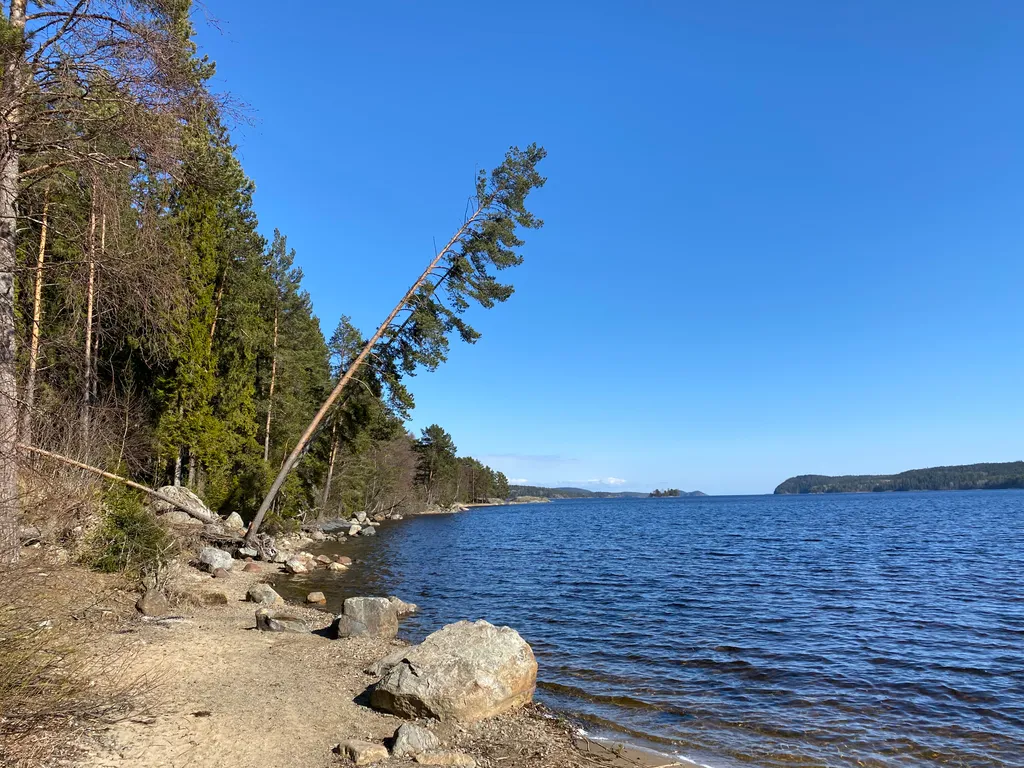 Дом Брусника у Ладоги