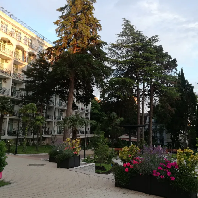 Квартира Квартира Студия в золотом треугольнике Сочи в ЖК Покровский парк — Сочи