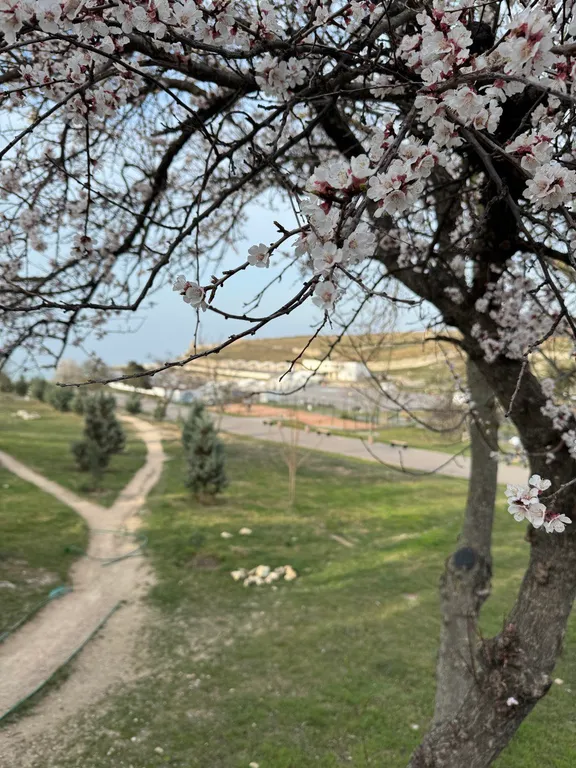 Квартира Квартира Уютная студия у моря — Севастополь