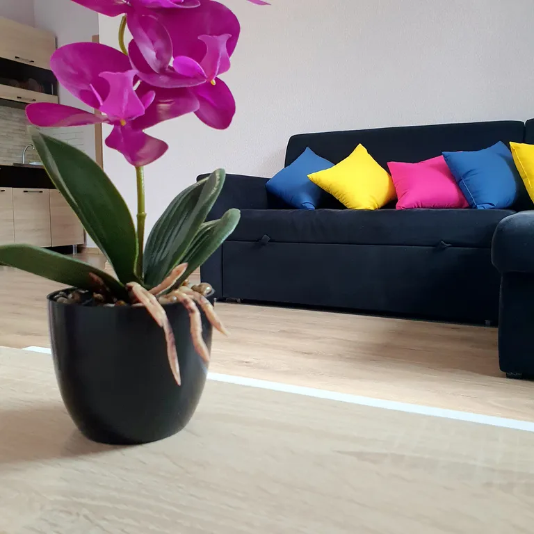 Шикарная однокомнатная в ЖК Лес