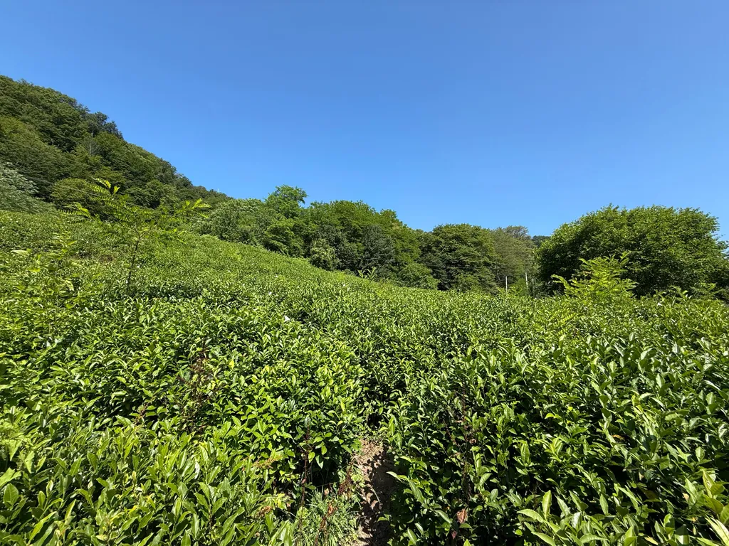 Апартаменты с бассейном недалеко от моря