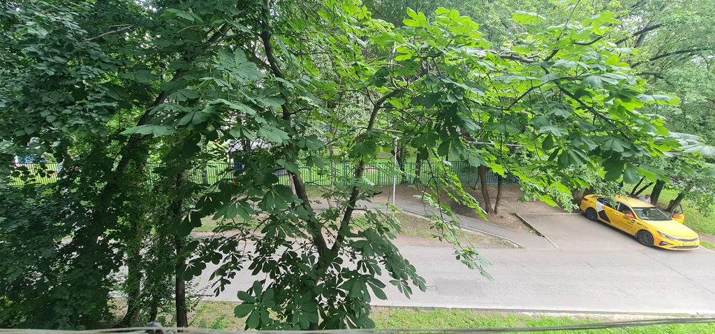 Просторная квартира в спальном районе