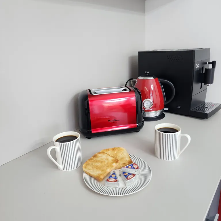 Квартира Роскошные апартаменты в самом сердце Светлогорска — Светлогорск