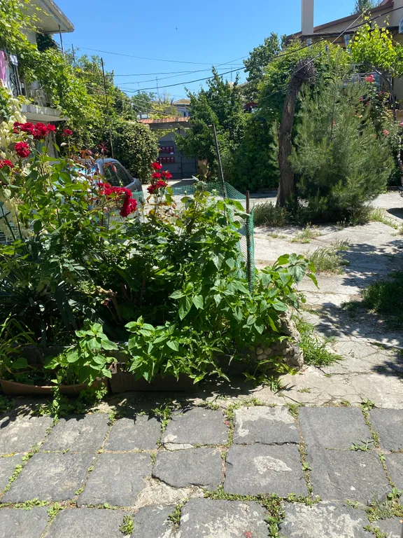 Квартира Уютная Квартира под ключ, с местом для отдыха во дворе — Евпатория