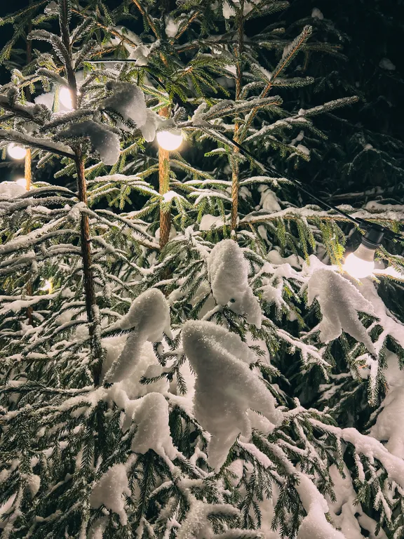 Домик Зов Йети