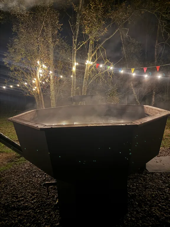 Просторный дом с видом на настоящий лес